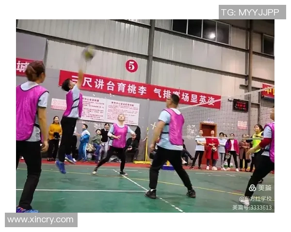 专访周伟：探寻排球领域的成功秘诀与成长之路