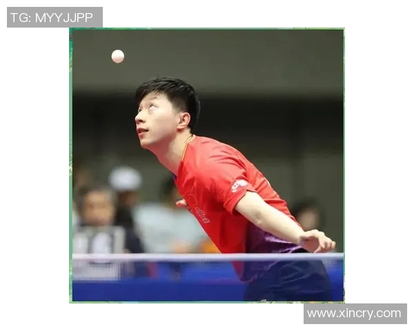 乒乓球新手必看:从零基础到实力提升的全面指南 乒乓球新手必看:从零基础到实力提升的全面指南