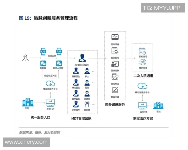 南京羽毛球队运营分析:成功经验与面临挑战的全面探讨 南京羽毛球队运营分析:成功经验与面临挑战的全面探讨