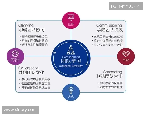 成都排球队灵活性分析:技术战术与团队协作的完美结合 成都排球队灵活性分析:技术战术与团队协作的完美结合