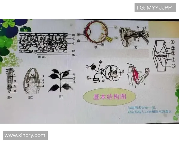 赛后分析:北京网球队与南京网球队的战术灵活性对比探讨 赛后分析:北京网球队与南京网球队的战术灵活性对比探讨