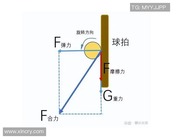乒乓球新手必看:从基础技巧到实战训练的全面入门指南 乒乓球新手必看:从基础技巧到实战训练的全面入门指南