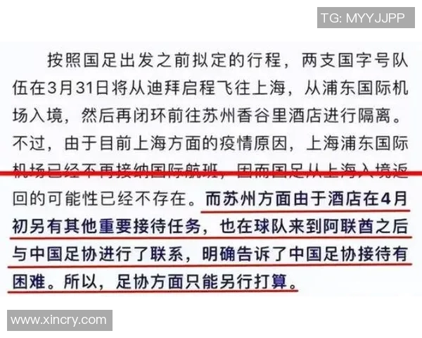 南京排球队世界杯预选赛个人能力分析与表现点评