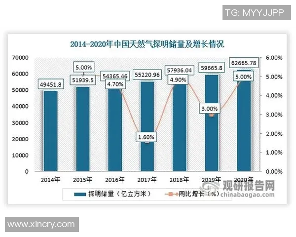 数据分析视角下液化天然气市场意识的变化与趋势探讨