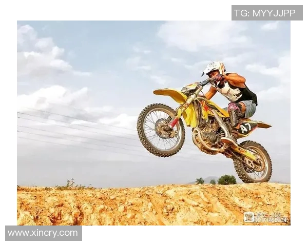 西安极限运动队的挑战与机遇分析及其控制策略的成效与不足